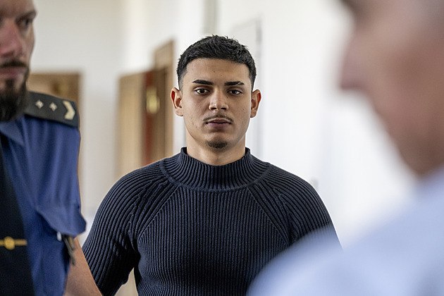 Mladík dostal 18 let za trýznivou vraždu, zraněný muž umíral několik hodin