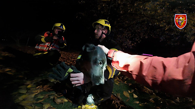 Fenka spadla do patnáctimetrové studny, z vody ji museli vytahovat hasiči