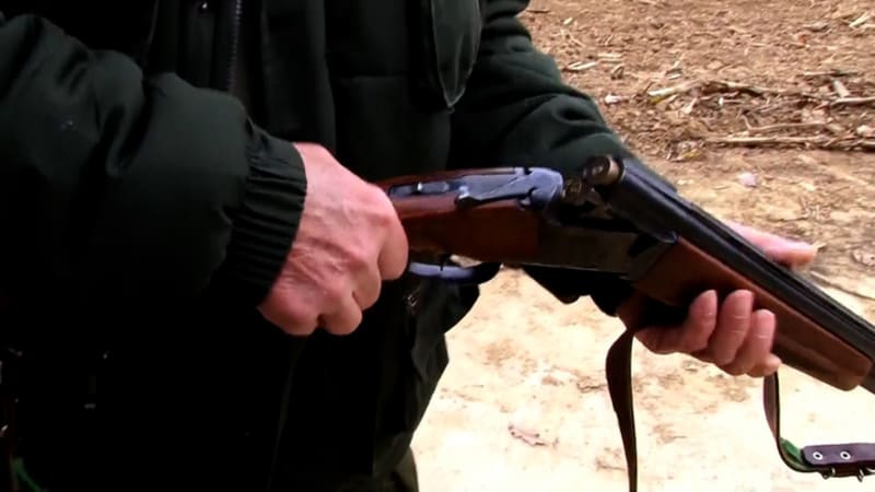 Myslivec na Tachovsku zastřelil kolegu. Během honu ho zasáhl do hlavy