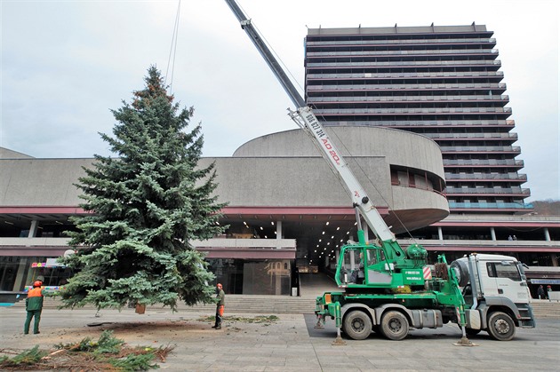Karlovy Vary hledají nový vánoční strom, Cheb se chystá kácet ve čtvrtek