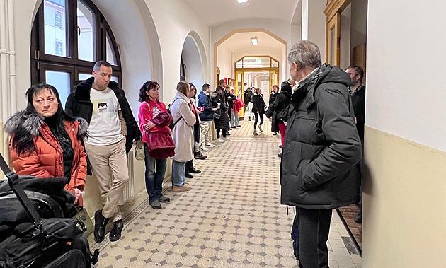 Týrané štěně se uškrtilo vodítkem. K soudu dorazily davy, lidé žádají přísnější tresty