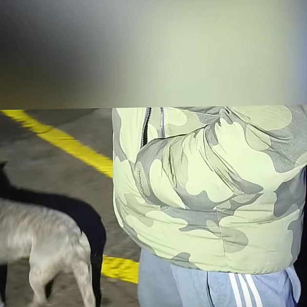 Opilý řidič kličkoval v noci před hlídkou, strážníky pak vyzýval na souboj