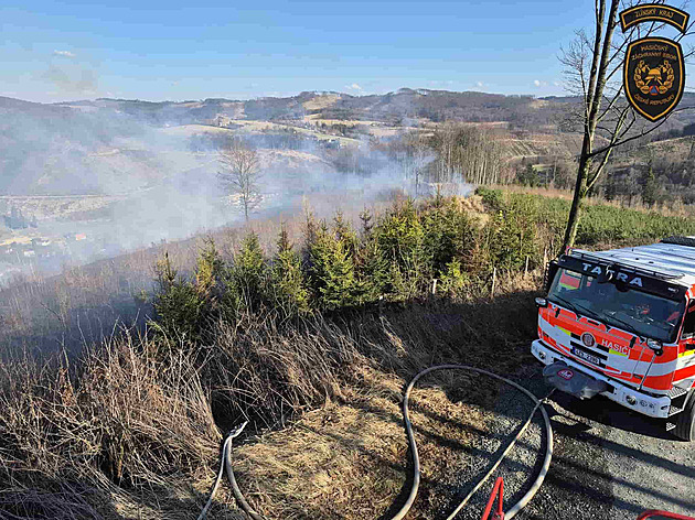 Lesní požáry na Moravě zaměstnaly desítky hasičů
