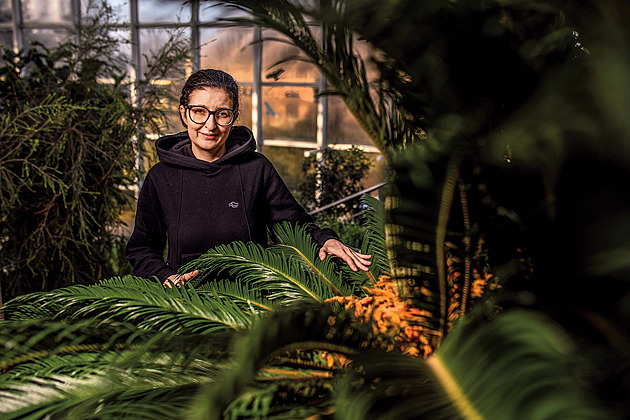 Jakým čajem nezapíjet ibalgin a proč před operací vyřadit česnek, radí farmaceutka