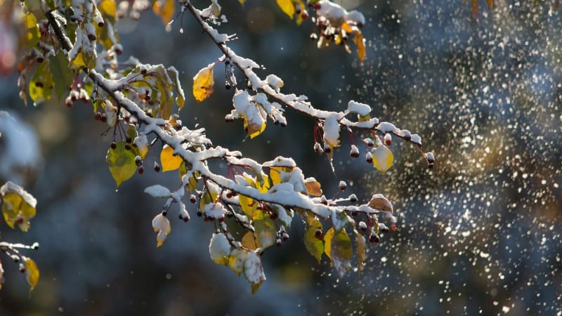 Divoké počasí v Česku: Teploty budou kolísat mezi mrazy a 20 stupni. Hrozí i sněžení