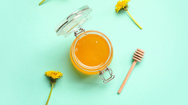 Tekuté zlato z louky: Vyrobte si poctivý domácí pampeliškový med