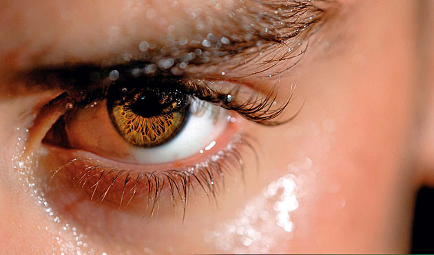 Jak si upravit trendy obočí? Vsaďte na jemnost a hlavně upravenost